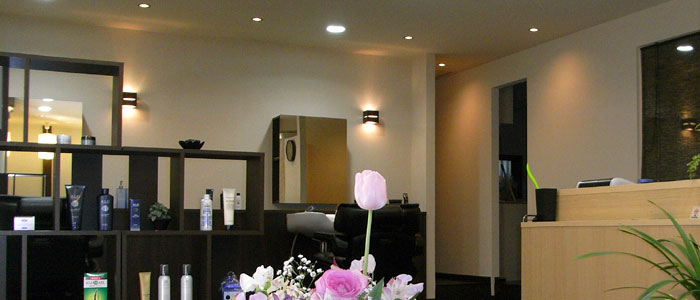 �z�J�w�����̃w�A�T�����u���v�̓X���ʐ^